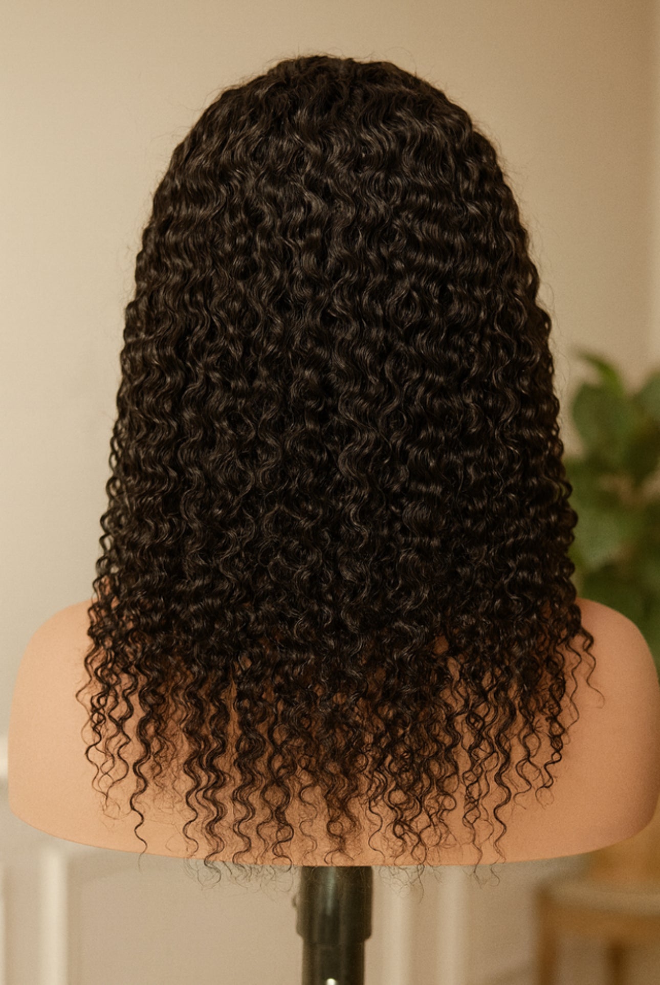 Demi-tête flip over Burmese Curl